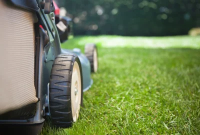 mowing-grass